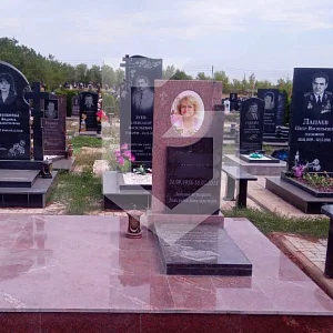 Памятник из гранита Винга